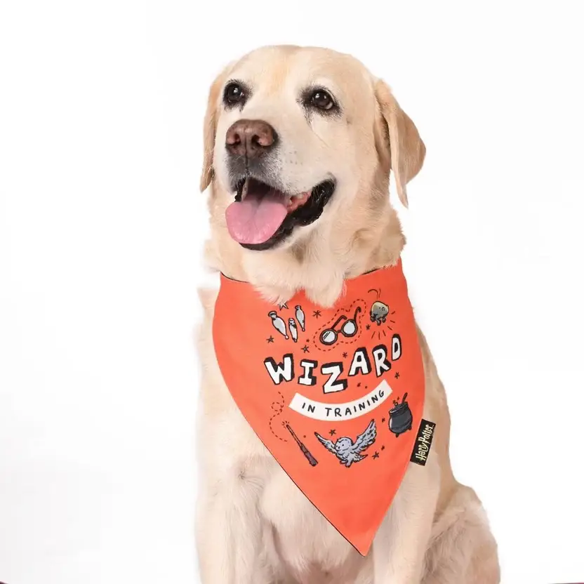 Harry Potter Dog Bandana